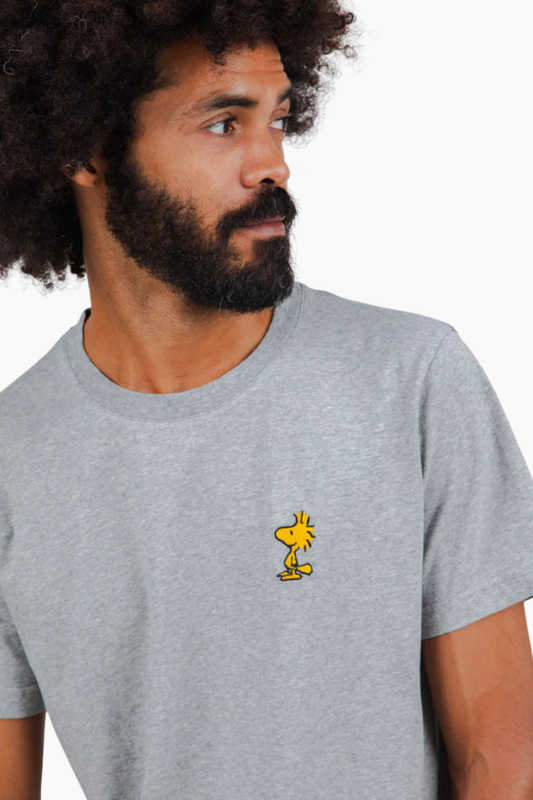 Camiseta Brava x Peanuts - woodstock grey