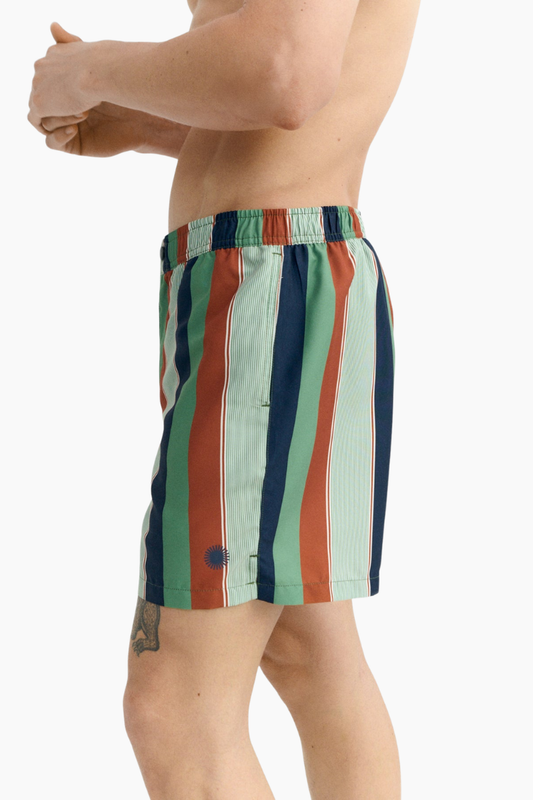 Bañador Liu Rayas Multicolor