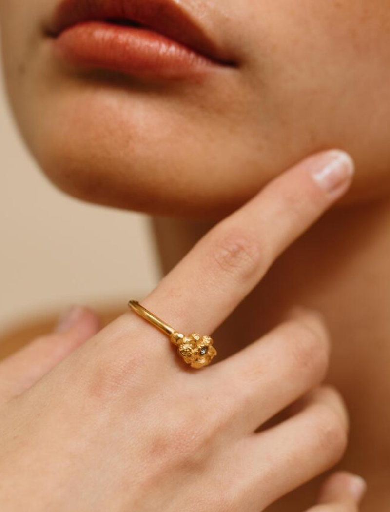 Anillo Arena