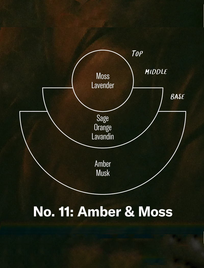MIKADO 100ML - NO. 11 ÁMBAR & MUSGO