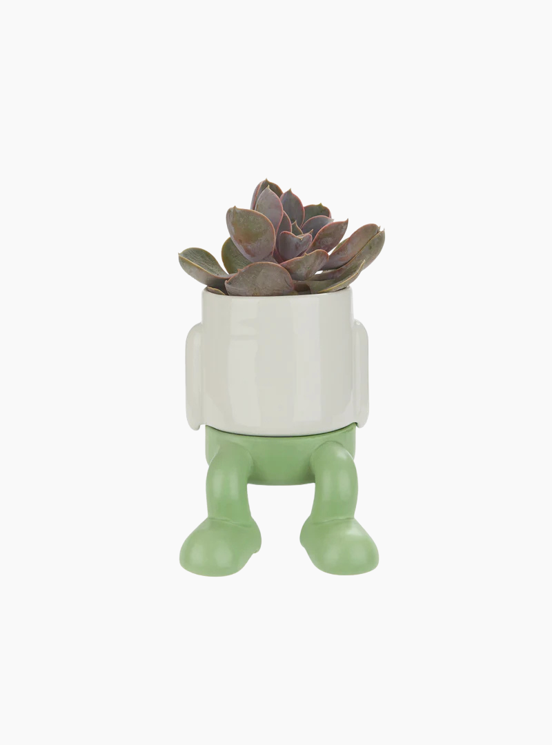 Mini maceta Mr.Dangly verde